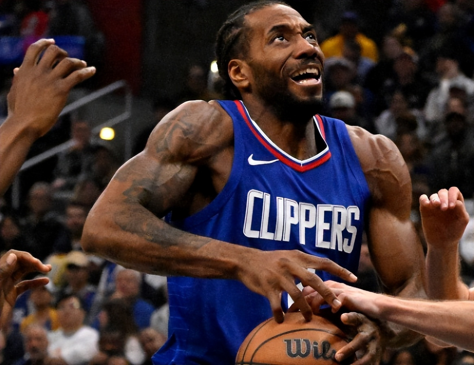 掘金逆转鹈鹕,实现回暖 掘金逆转鹈鹕,实现回暖