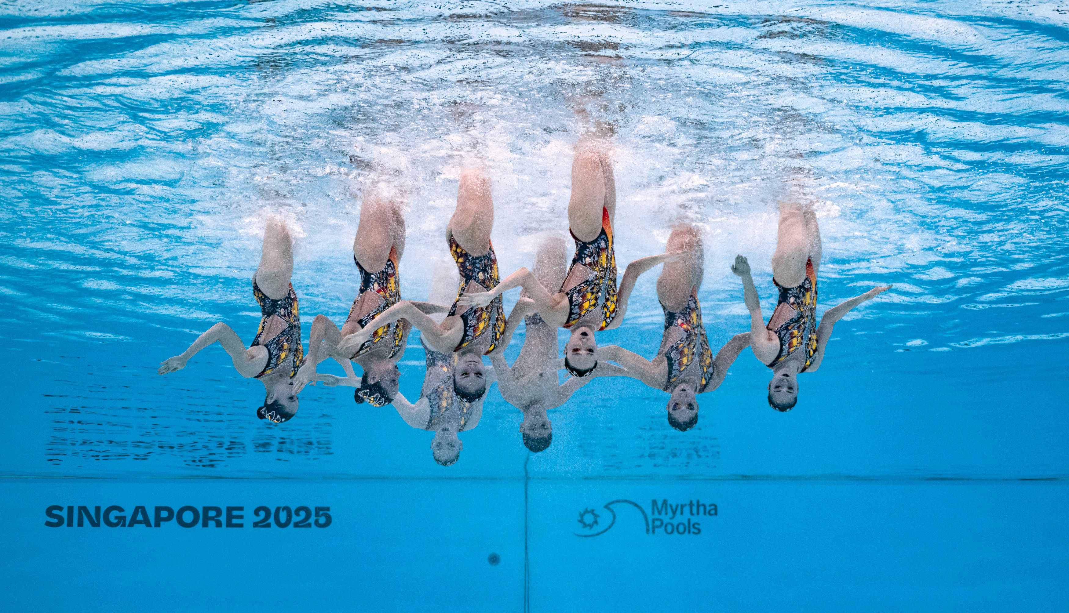 墨西哥游泳选手获得女子自由泳金牌 墨西哥游泳选手获得女子自由泳金牌